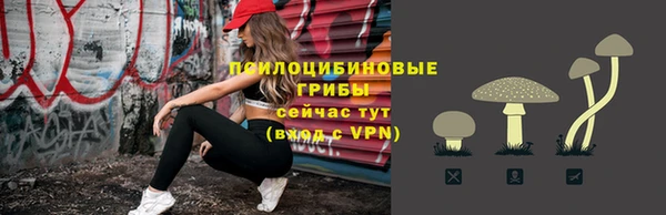 не бодяженный Пересвет