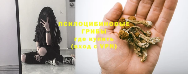 трава Переславль-Залесский
