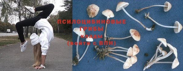 не бодяженный Пересвет
