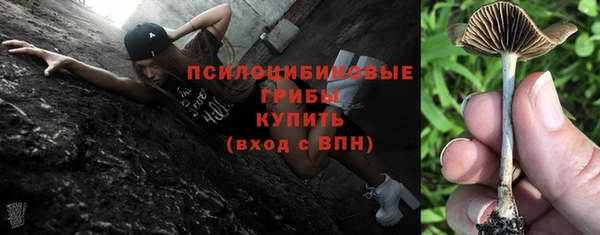 не бодяженный Пересвет